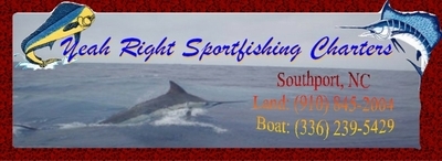 Yeah Right Sportfishing Charters
